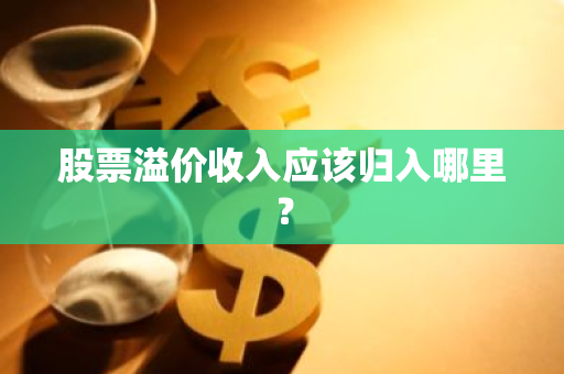 股票溢价收入应该归入哪里？