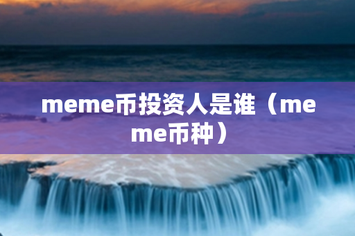 meme币投资人是谁（meme币种）