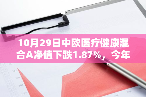 10月29日中欧医疗健康混合A净值下跌1.87%，今年来累计下跌10.87%