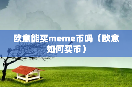 欧意能买meme币吗（欧意如何买币）