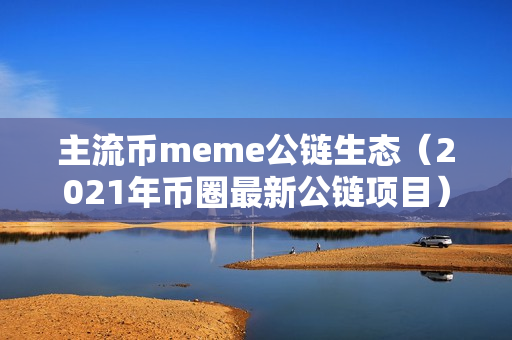 主流币meme公链生态（2021年币圈最新公链项目）