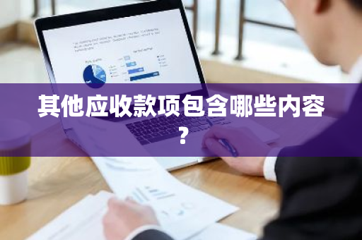 其他应收款项包含哪些内容？