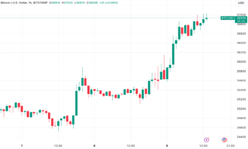 尽管交易量下降BTC目标40万美元 但交易员依然感到困惑