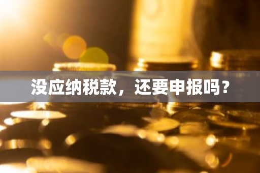 没应纳税款，还要申报吗？