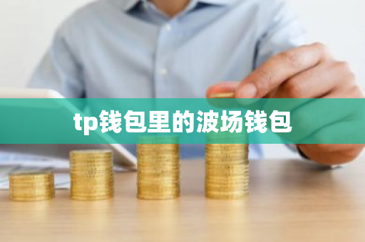 tp钱包里的波场钱包