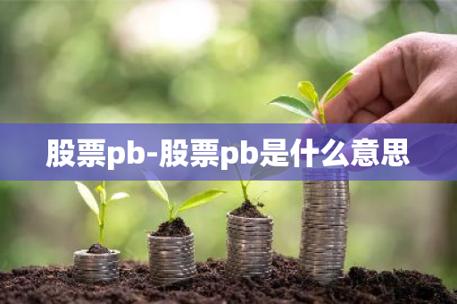 股票pb-股票pb是什么意思