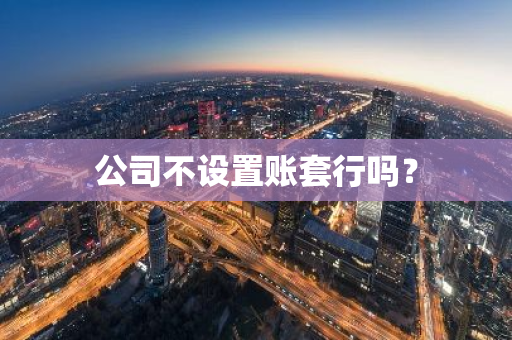 公司不设置账套行吗？