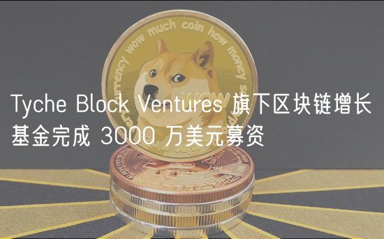 Tych Block Vnturs 旗下区块链增长基金完成 3000 万美元募资