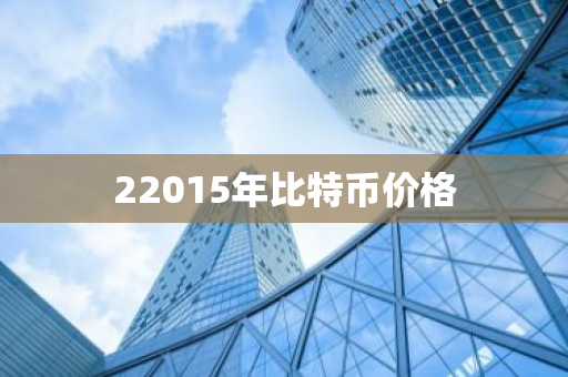 22015年比特币价格