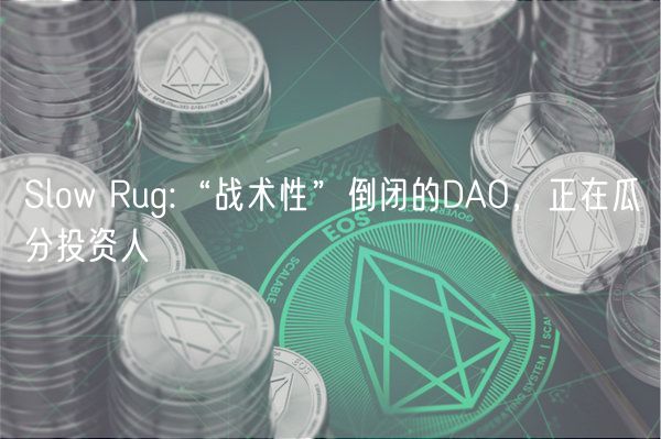 Slow Rug:“战术性”倒闭的DAO，正在瓜分投资人