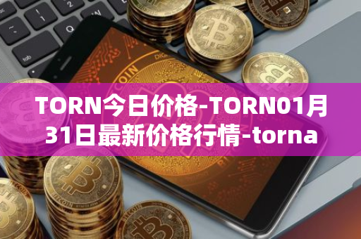 TORN今日价格-TORN01月31日最新价格行情-tornado-cash最新走势消息