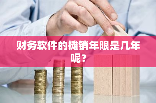 财务软件的摊销年限是几年呢？