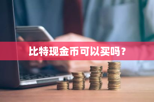 比特现金币可以买吗？