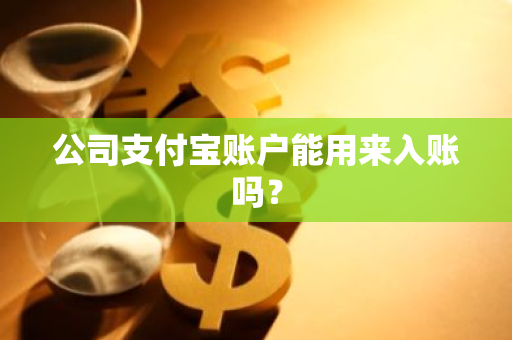 公司支付宝账户能用来入账吗？