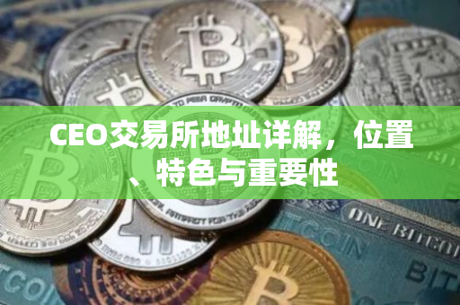 CEO交易所地址详解，位置、特色与重要性