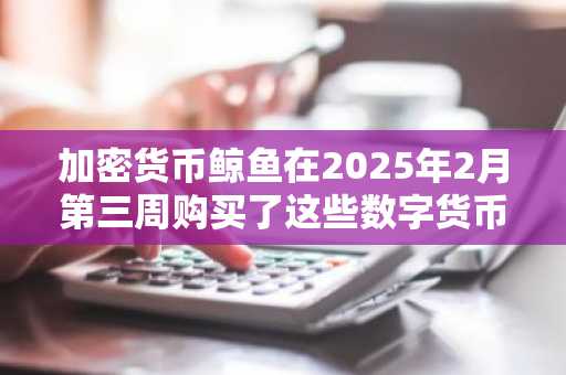 加密货币鲸鱼在2025年2月第三周购买了这些数字货币