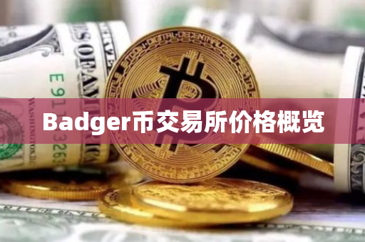 Badger币交易所价格概览