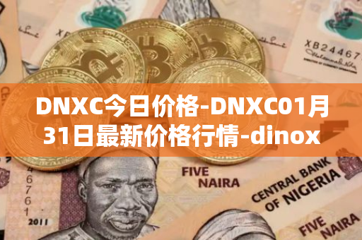 DNXC今日价格-DNXC01月31日最新价格行情-dinox最新走势消息