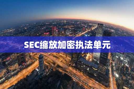 SEC缩放加密执法单元