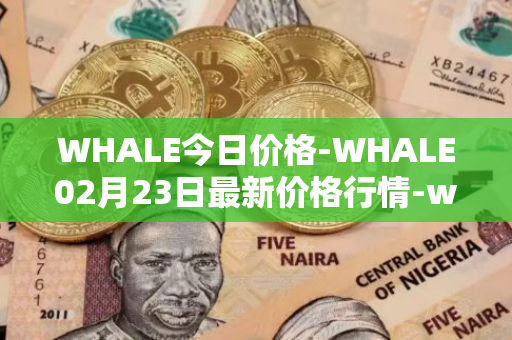 WHALE今日价格-WHALE02月23日最新价格行情-whale最新走势消息