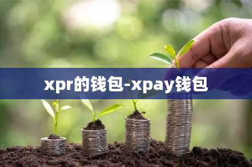 xpr的钱包-xpay钱包