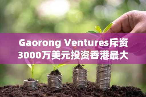 Gaorong Ventures斥资3000万美元投资香港最大持牌加密交易所运营商