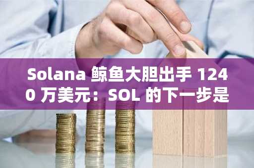 Solana 鲸鱼大胆出手 1240 万美元：SOL 的下一步是什么？