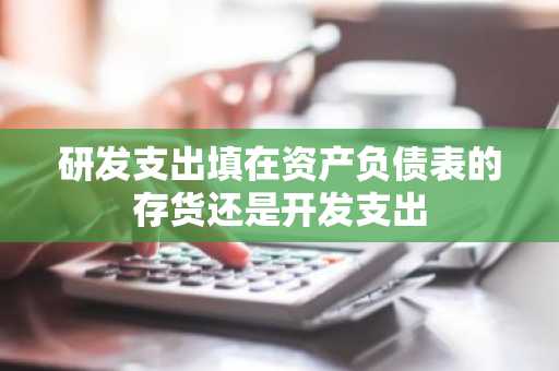 研发支出填在资产负债表的存货还是开发支出