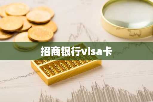 招商银行visa卡