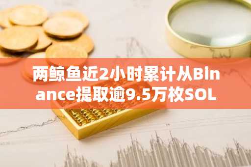 两鲸鱼近2小时累计从Binance提取逾9.5万枚SOL