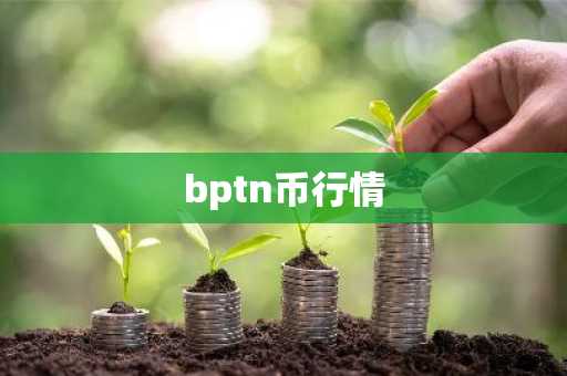 bptn币行情