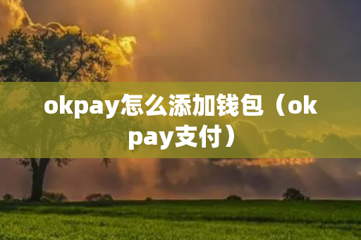 okpay怎么添加钱包（okpay支付）