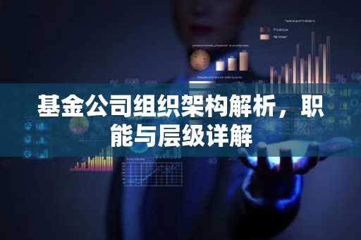 基金公司组织架构解析,职能与层级详解