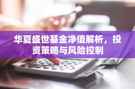 华夏盛世基金净值解析,投资策略与风险控制