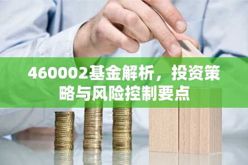 460002基金解析,投资策略与风险控制要点