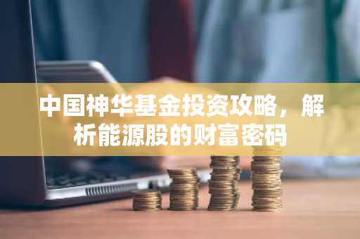 中国神华基金投资攻略,解析能源股的财富密码