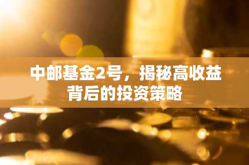 中邮基金2号,揭秘高收益背后的投资策略