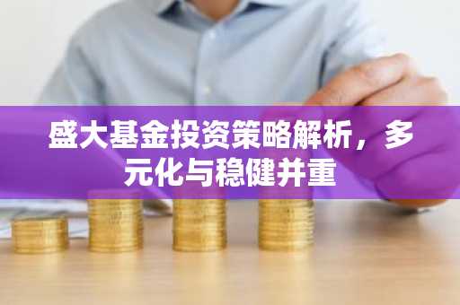 盛大基金投资策略解析,多元化与稳健并重