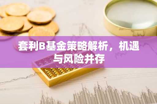 套利B基金策略解析,机遇与风险并存