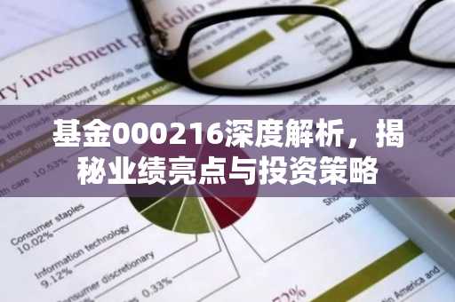 基金000216深度解析,揭秘业绩亮点与投资策略