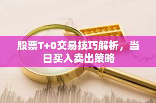 股票T 0交易技巧解析,当日买入卖出策略