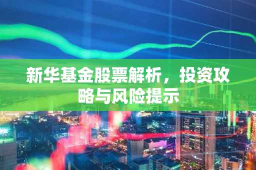 新华基金股票解析,投资攻略与风险提示